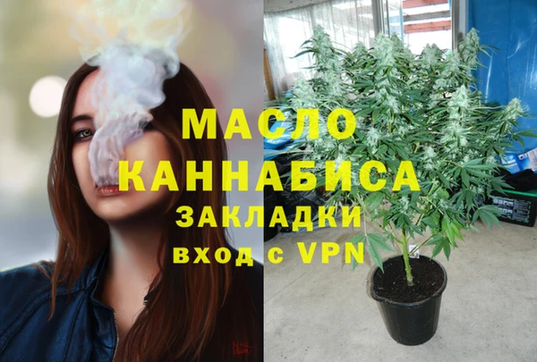гидра Зеленодольск