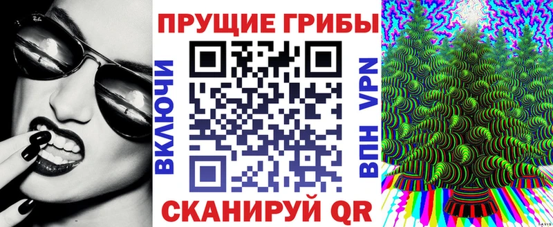 купить  цена  hydra зеркало  Псилоцибиновые грибы Psilocybe  Ирбит 