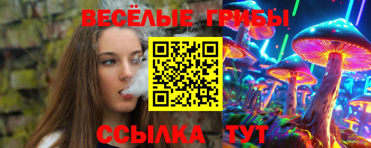 Галлюциногенные грибы Psilocybe  купить закладку  Ирбит  Вход с VPN 